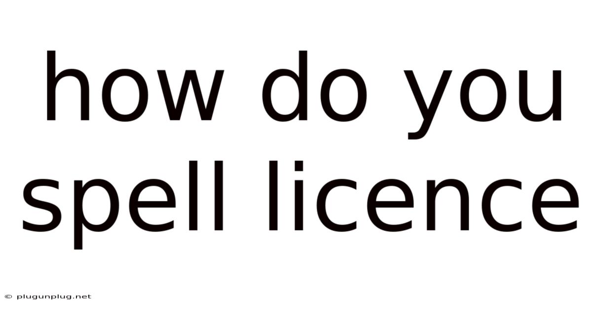 How Do You Spell Licence