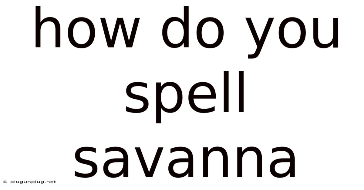 How Do You Spell Savanna