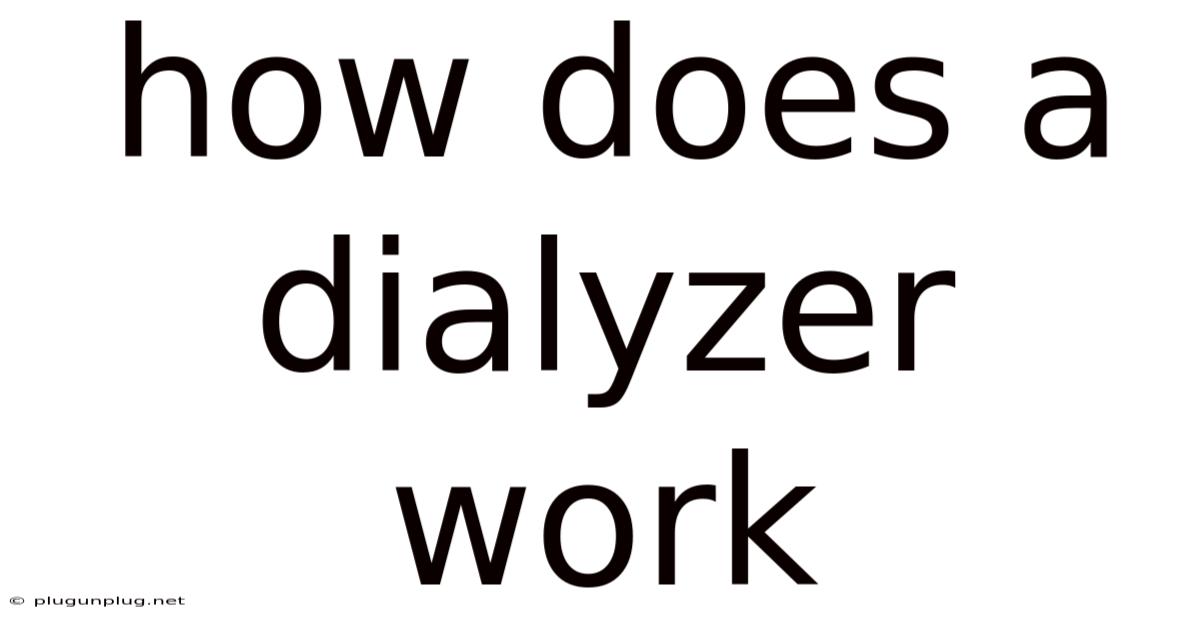 How Does A Dialyzer Work