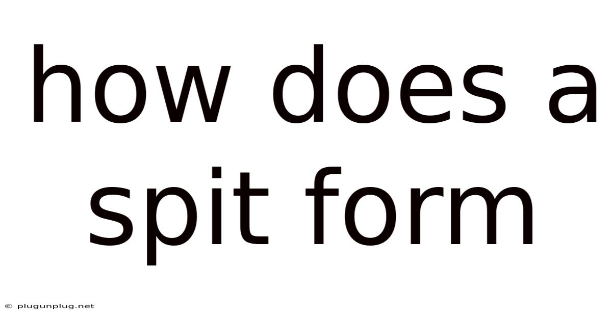 How Does A Spit Form