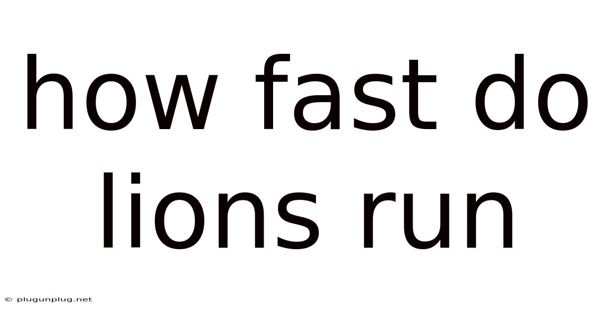 How Fast Do Lions Run