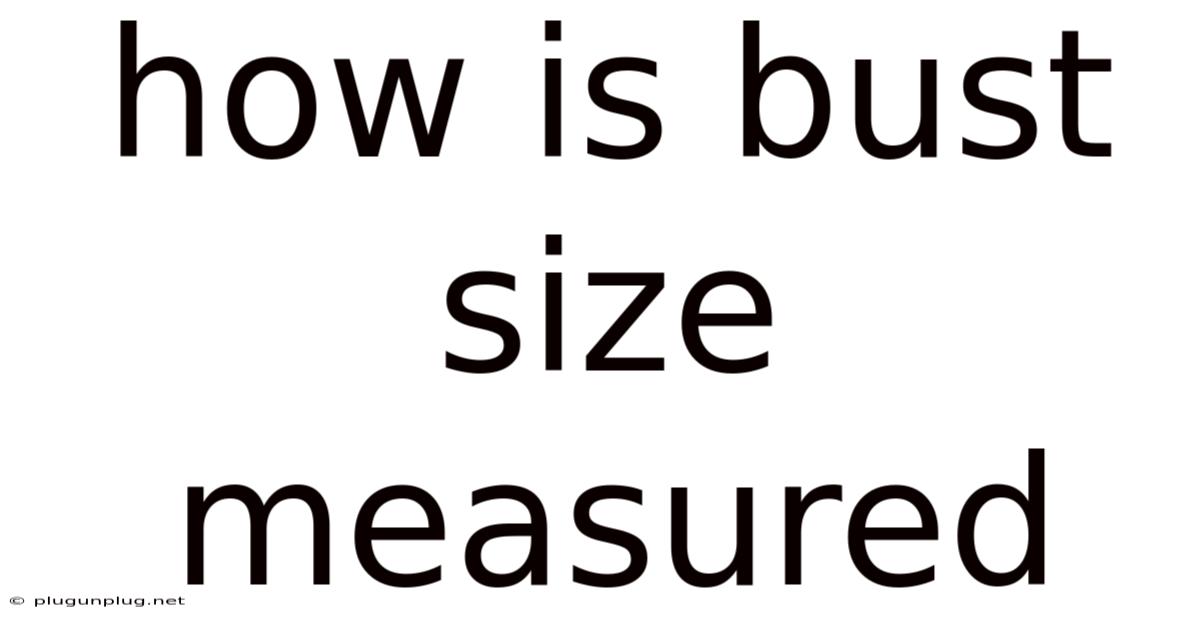 How Is Bust Size Measured
