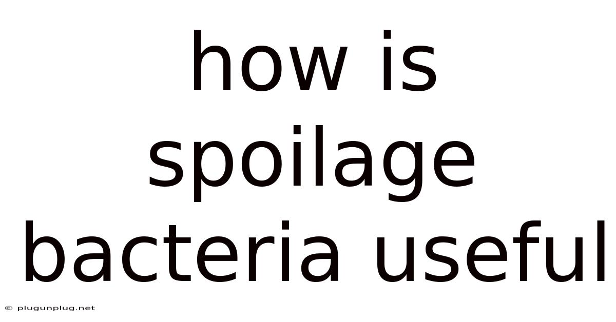 How Is Spoilage Bacteria Useful