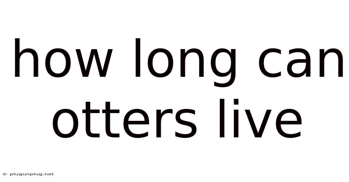 How Long Can Otters Live