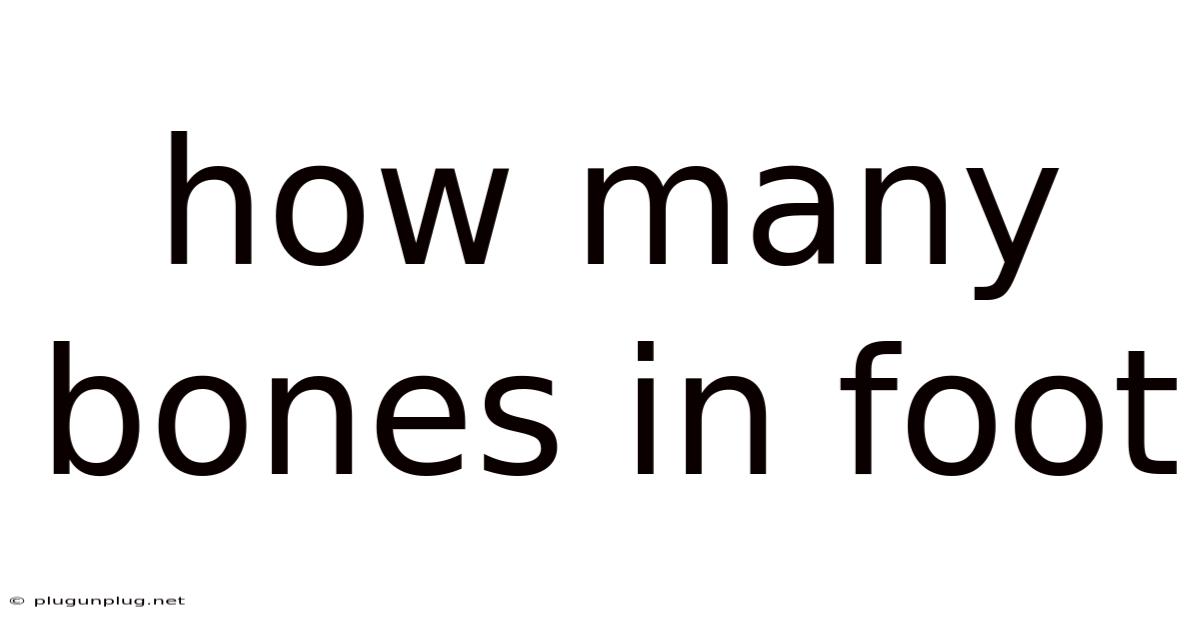 How Many Bones In Foot
