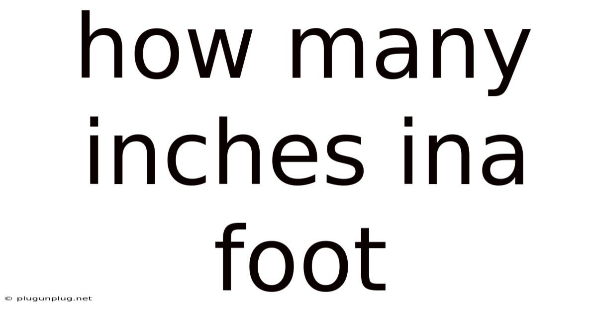 How Many Inches Ina Foot