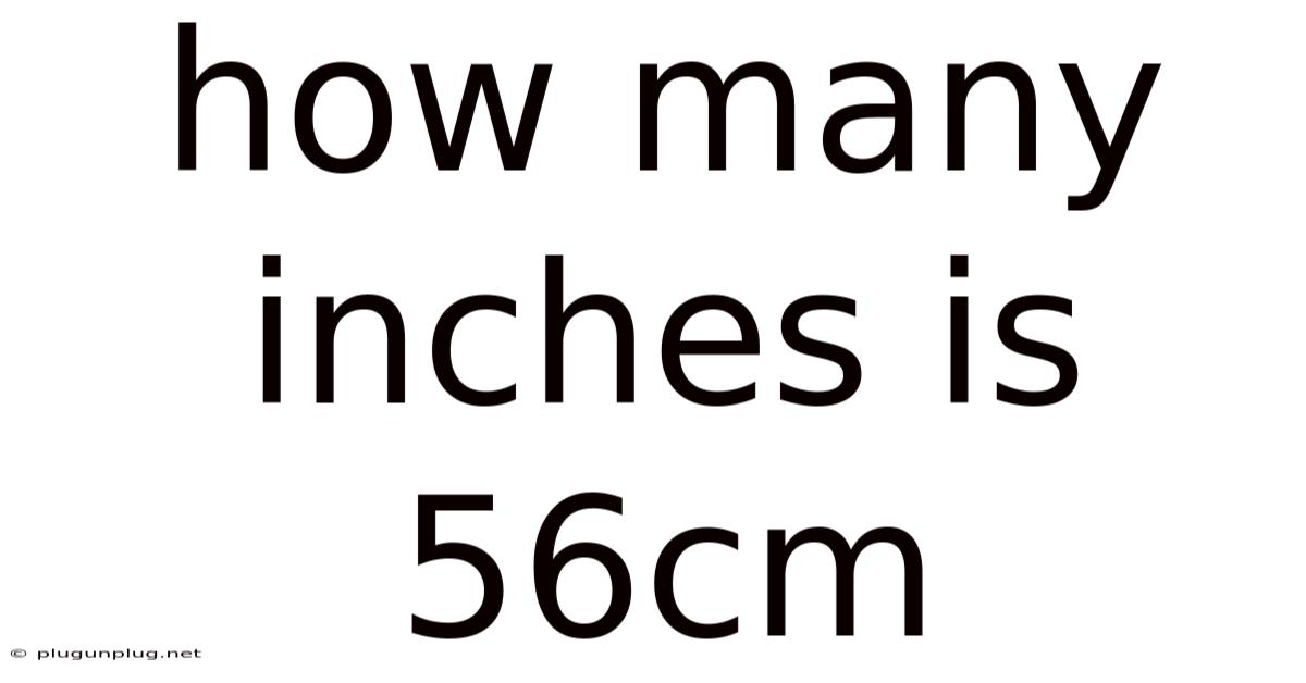 How Many Inches Is 56cm