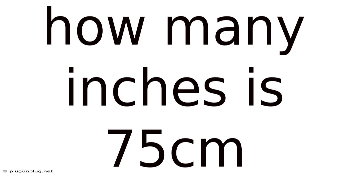 How Many Inches Is 75cm