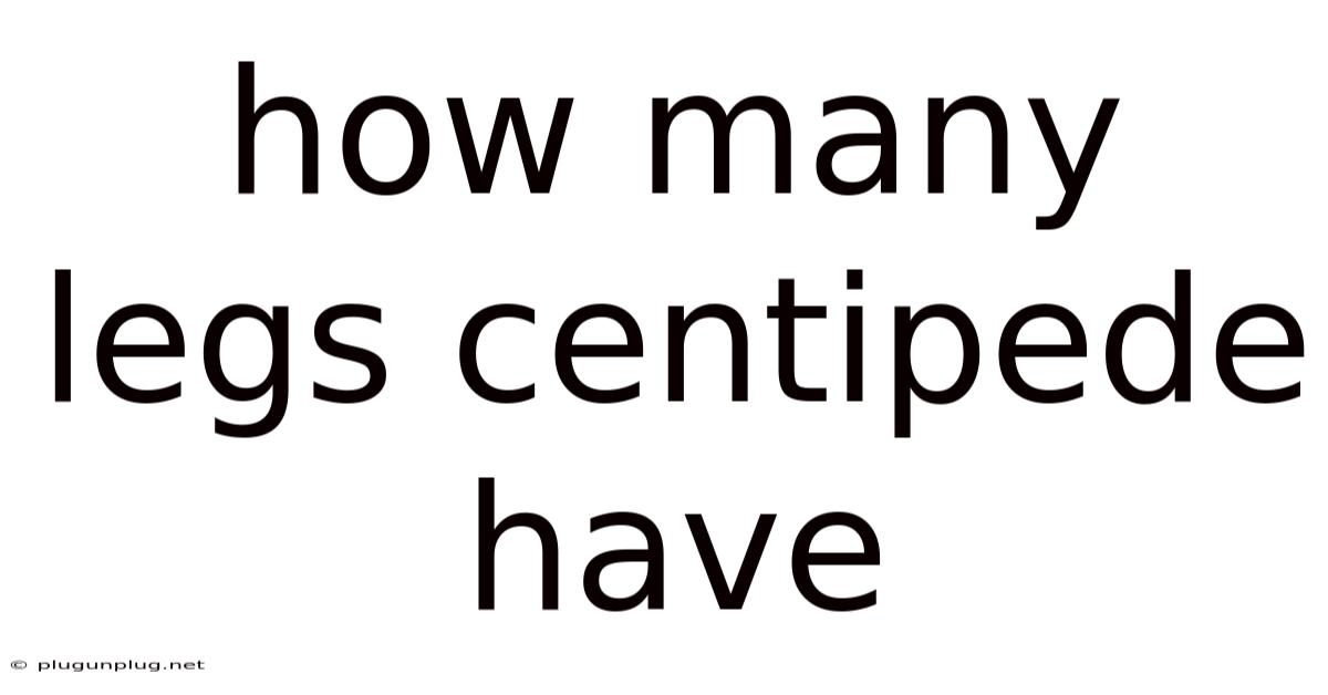 How Many Legs Centipede Have