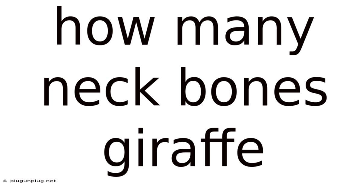 How Many Neck Bones Giraffe