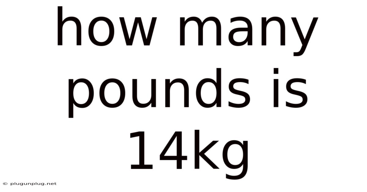 How Many Pounds Is 14kg