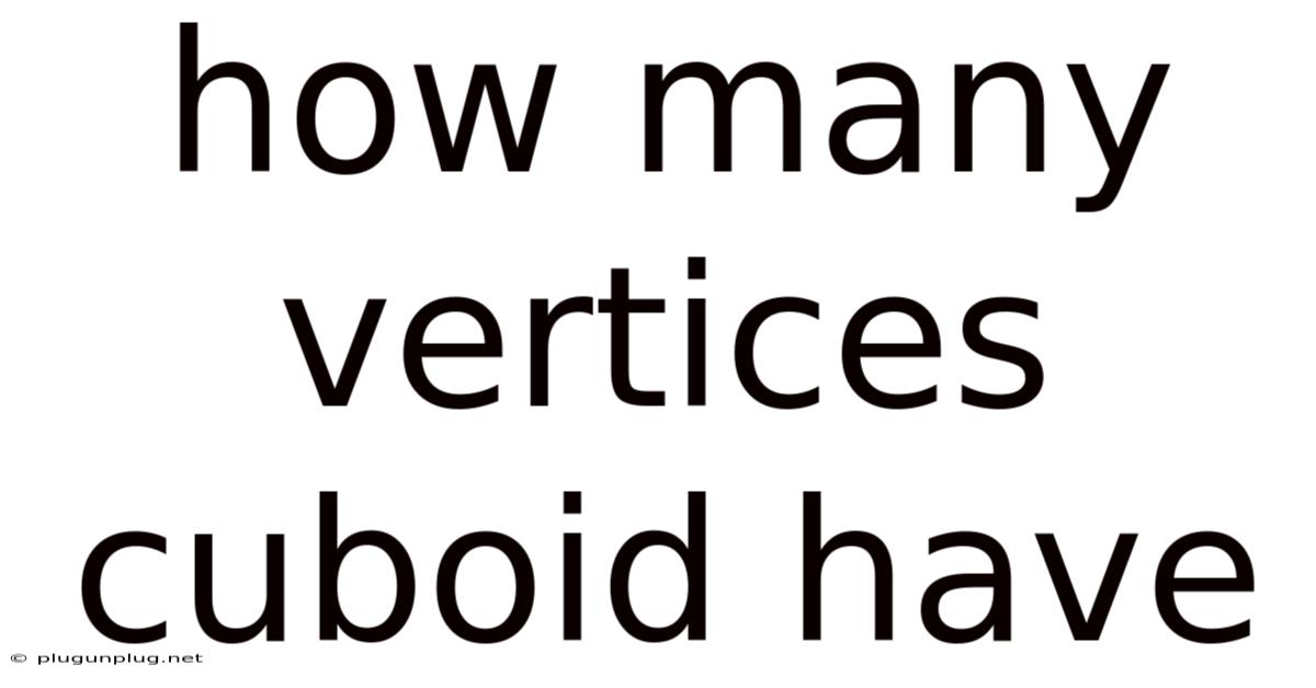 How Many Vertices Cuboid Have
