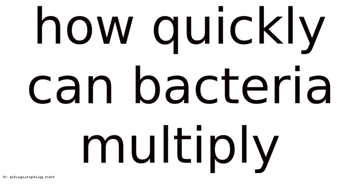 How Quickly Can Bacteria Multiply