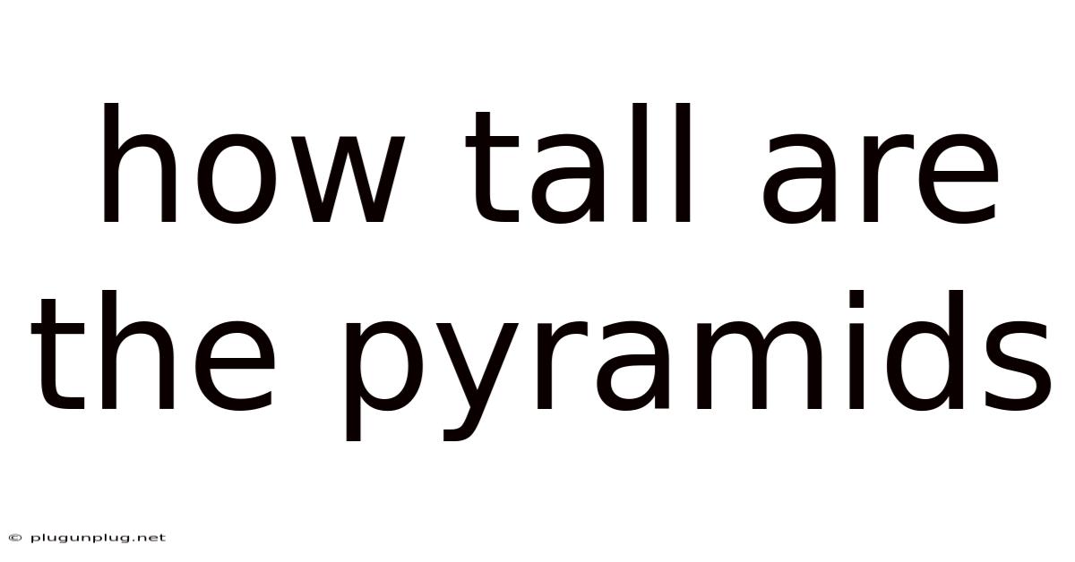 How Tall Are The Pyramids