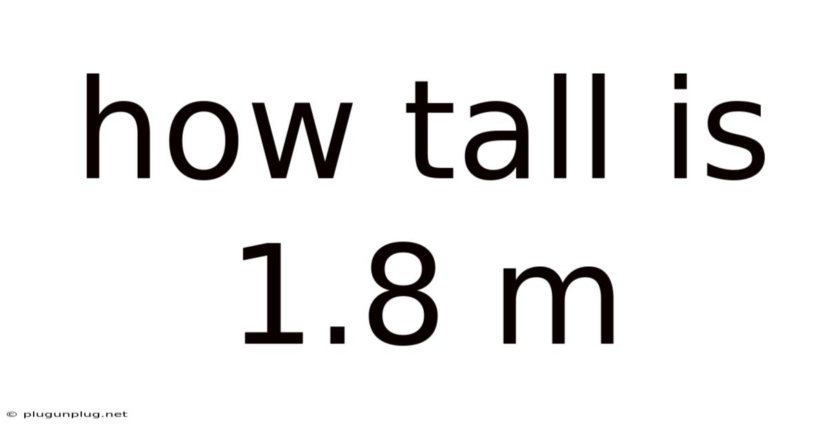 How Tall Is 1.8 M