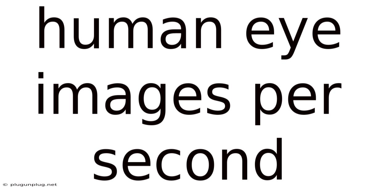 Human Eye Images Per Second