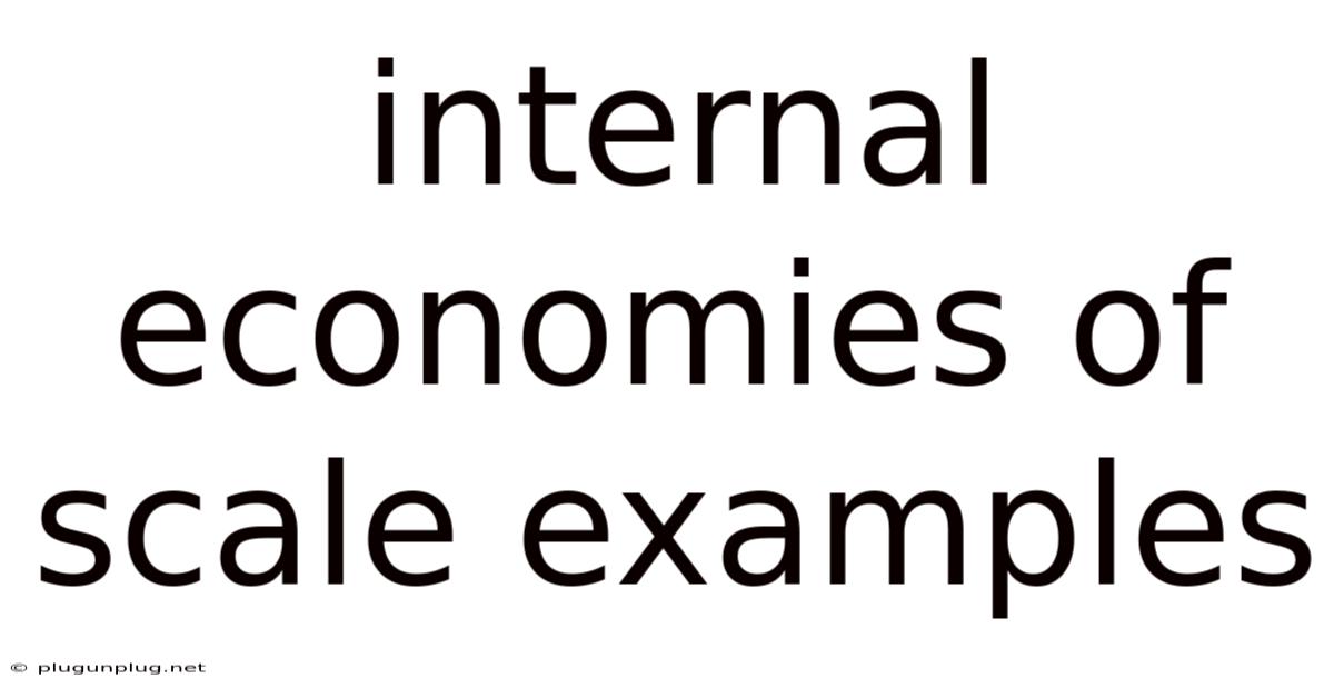 Internal Economies Of Scale Examples