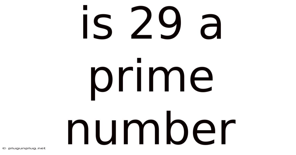 Is 29 A Prime Number