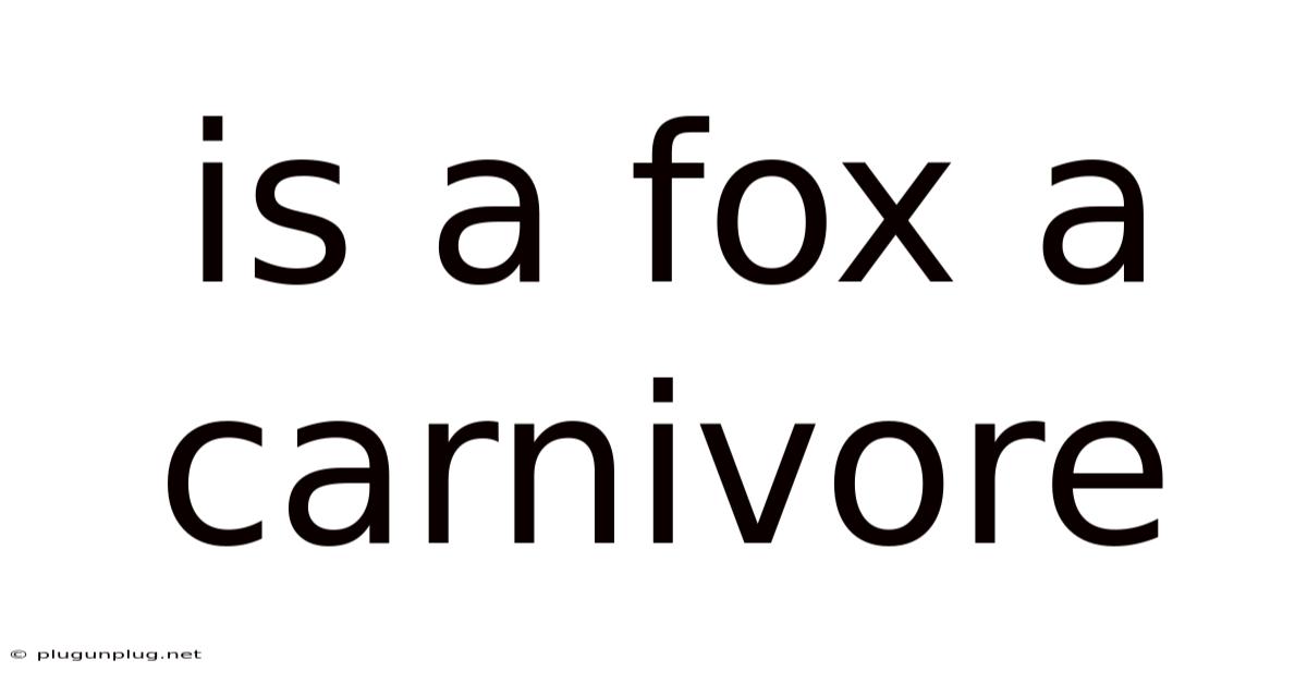 Is A Fox A Carnivore
