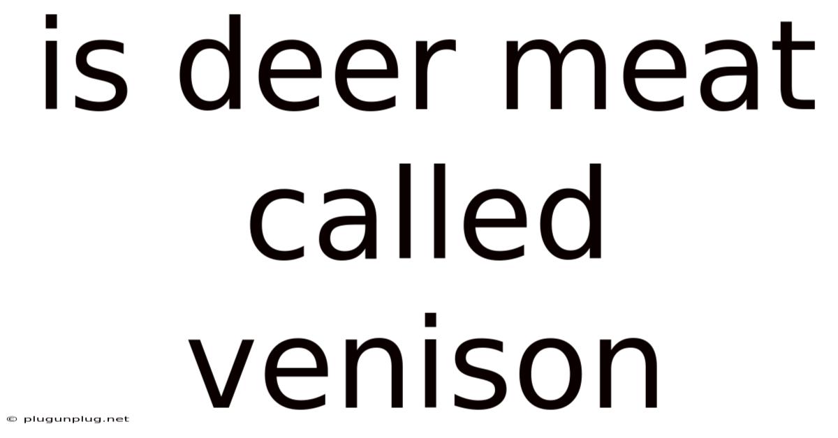 Is Deer Meat Called Venison