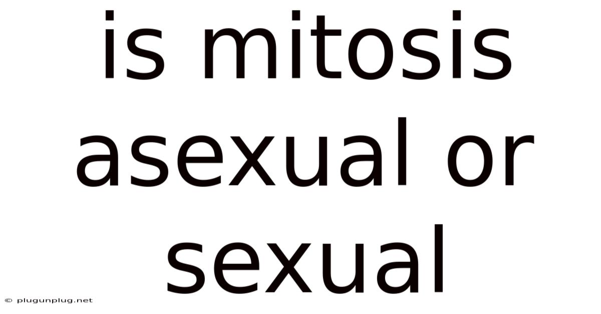 Is Mitosis Asexual Or Sexual