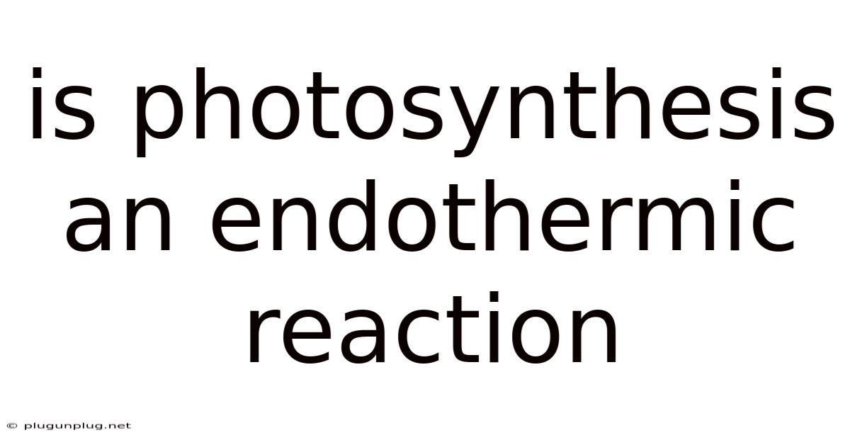 Is Photosynthesis An Endothermic Reaction
