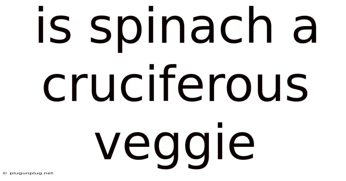 Is Spinach A Cruciferous Veggie