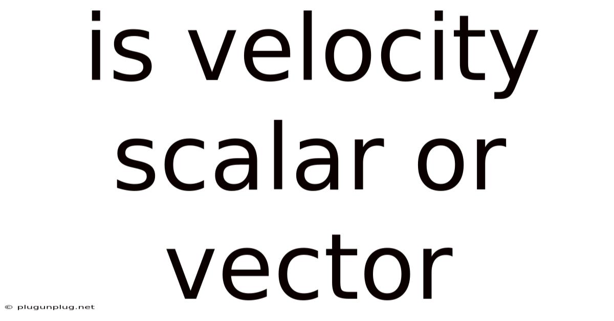 Is Velocity Scalar Or Vector