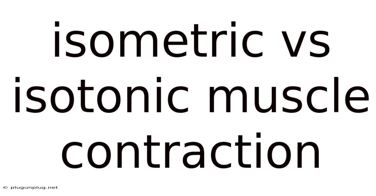 Isometric Vs Isotonic Muscle Contraction