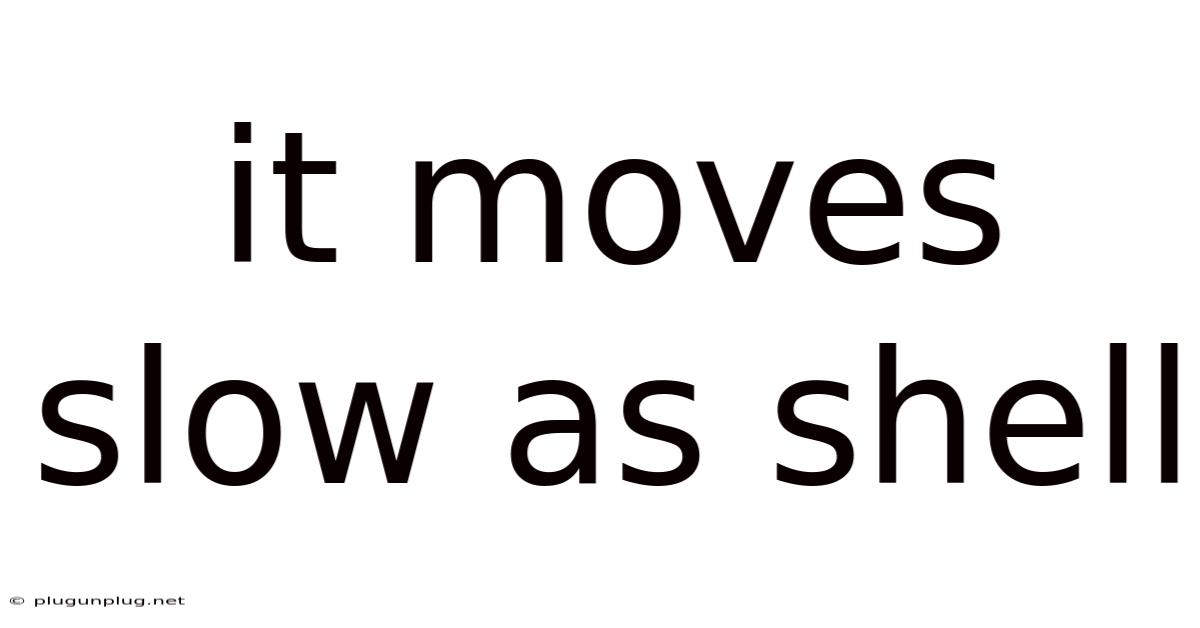 It Moves Slow As Shell
