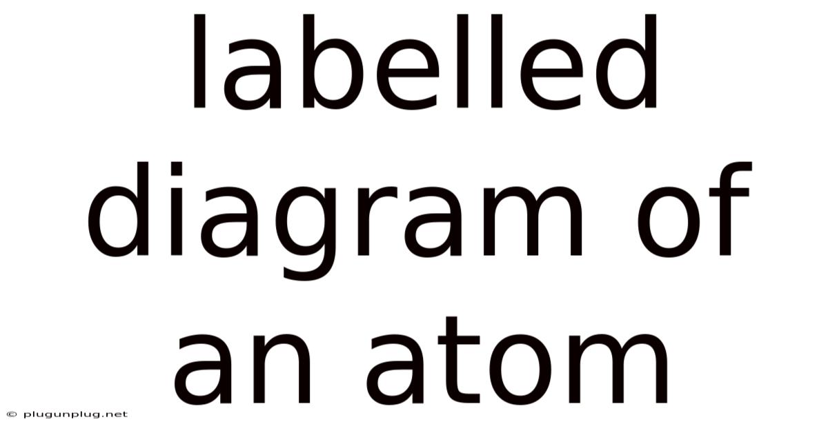 Labelled Diagram Of An Atom