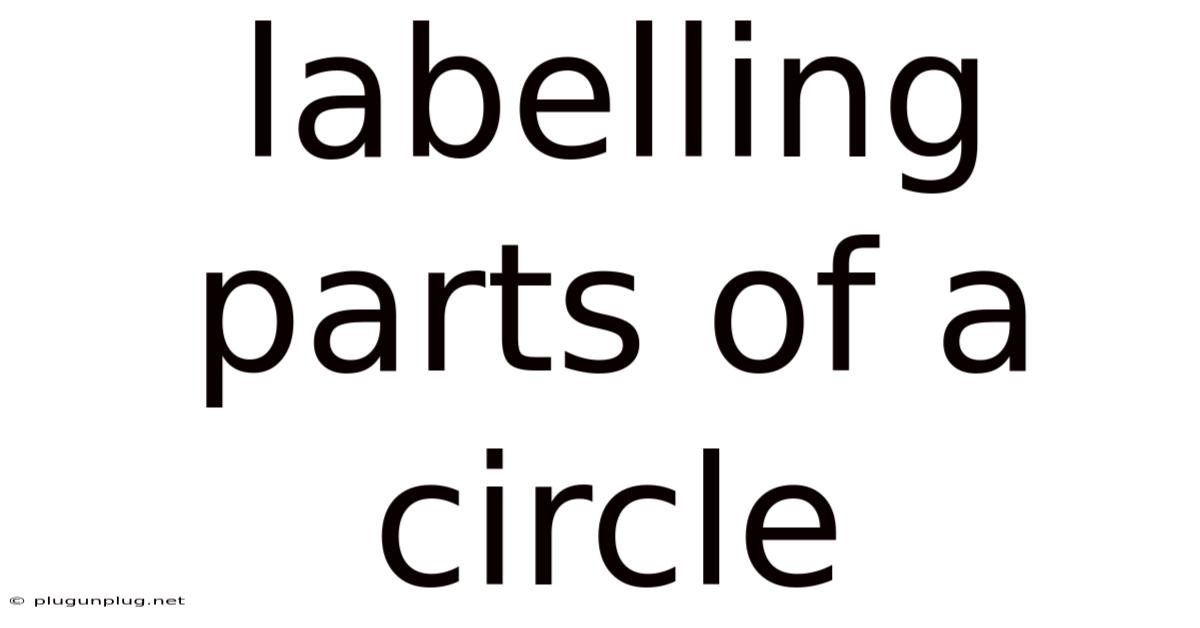 Labelling Parts Of A Circle