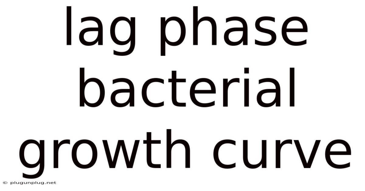 Lag Phase Bacterial Growth Curve