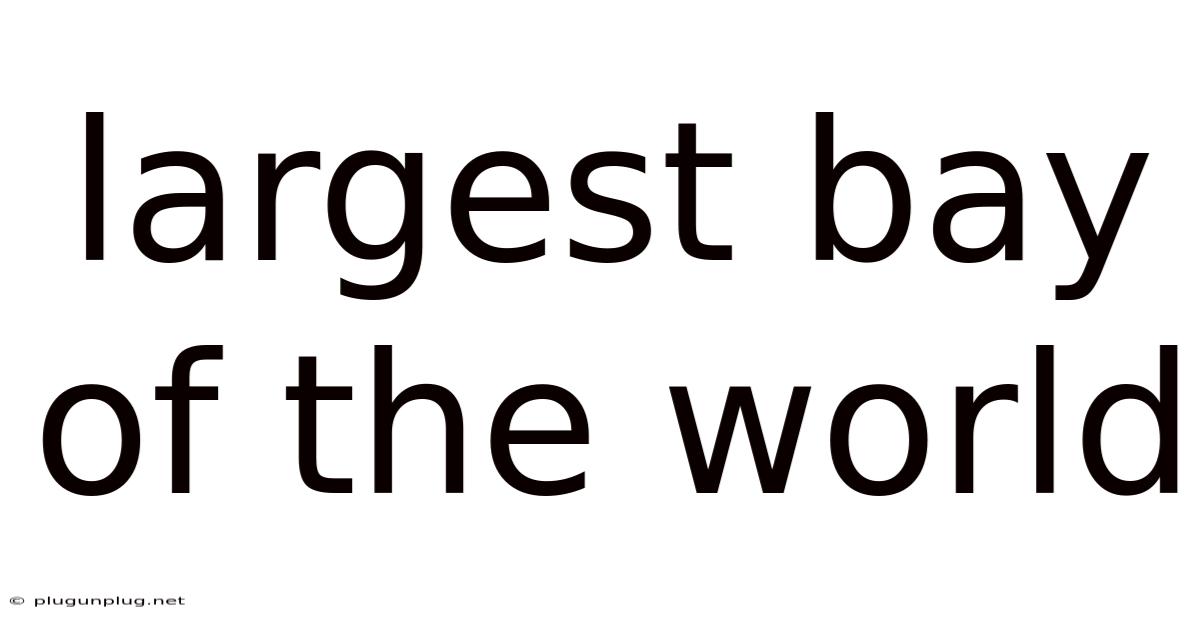 Largest Bay Of The World