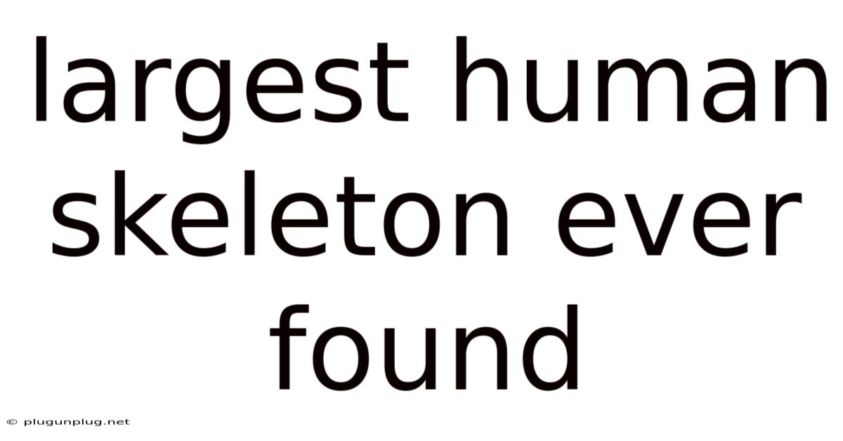 Largest Human Skeleton Ever Found