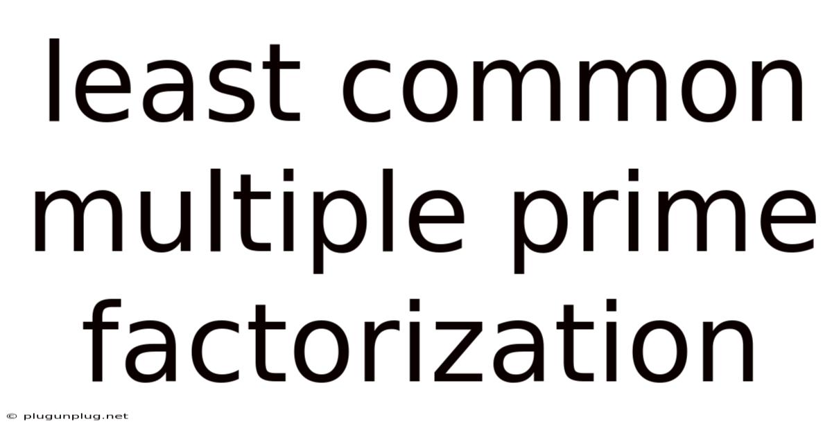 Least Common Multiple Prime Factorization