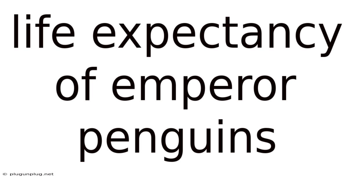 Life Expectancy Of Emperor Penguins