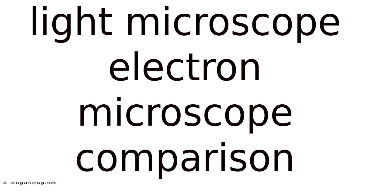 Light Microscope Electron Microscope Comparison