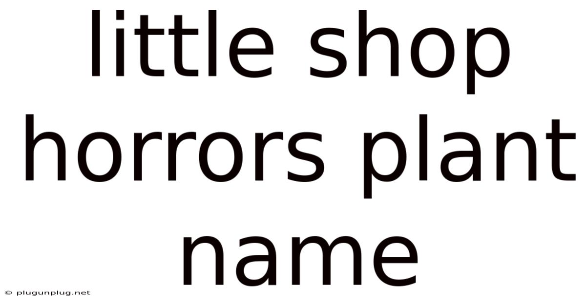 Little Shop Horrors Plant Name