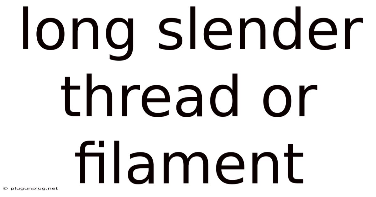 Long Slender Thread Or Filament