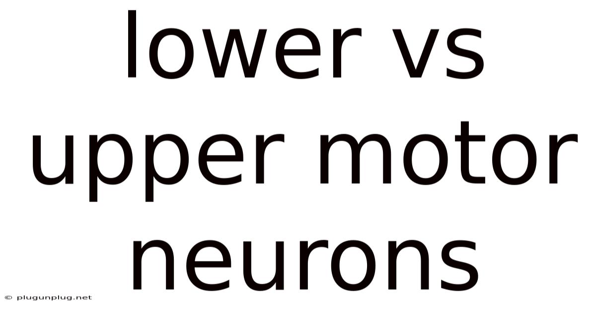 Lower Vs Upper Motor Neurons