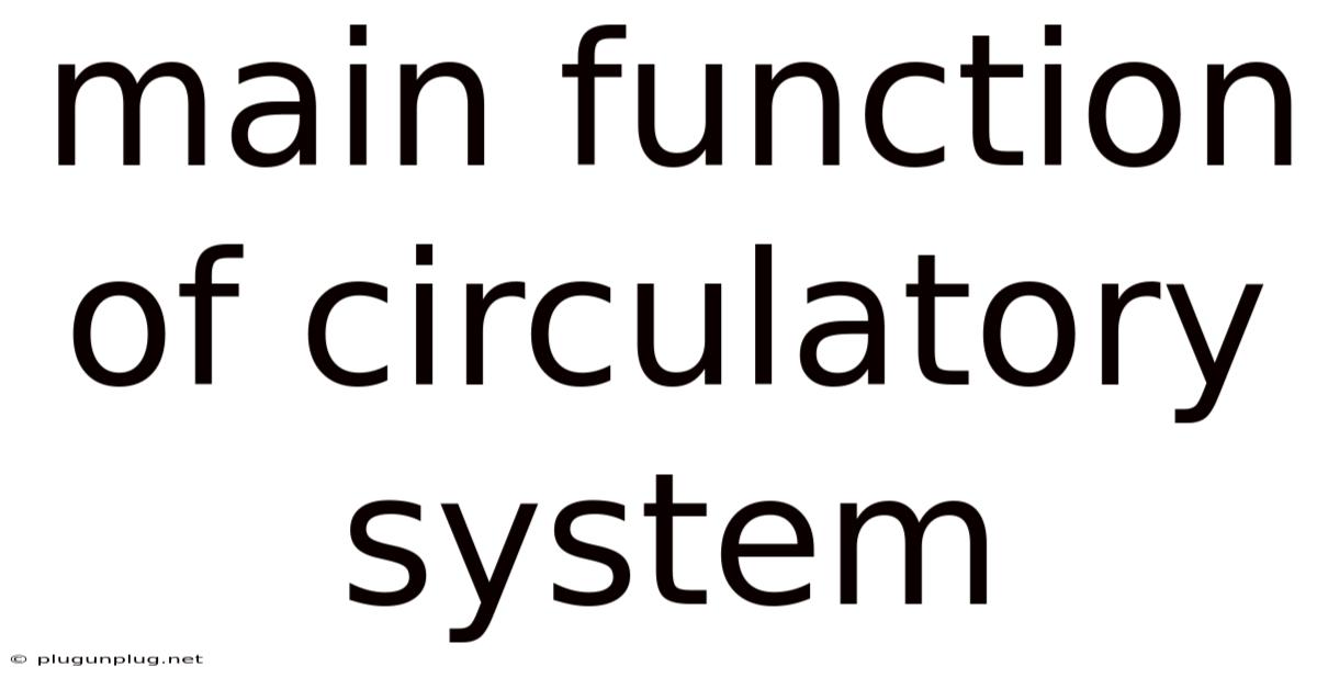 Main Function Of Circulatory System