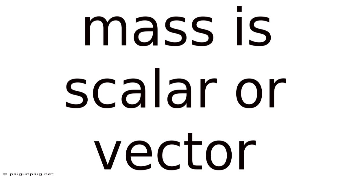 Mass Is Scalar Or Vector