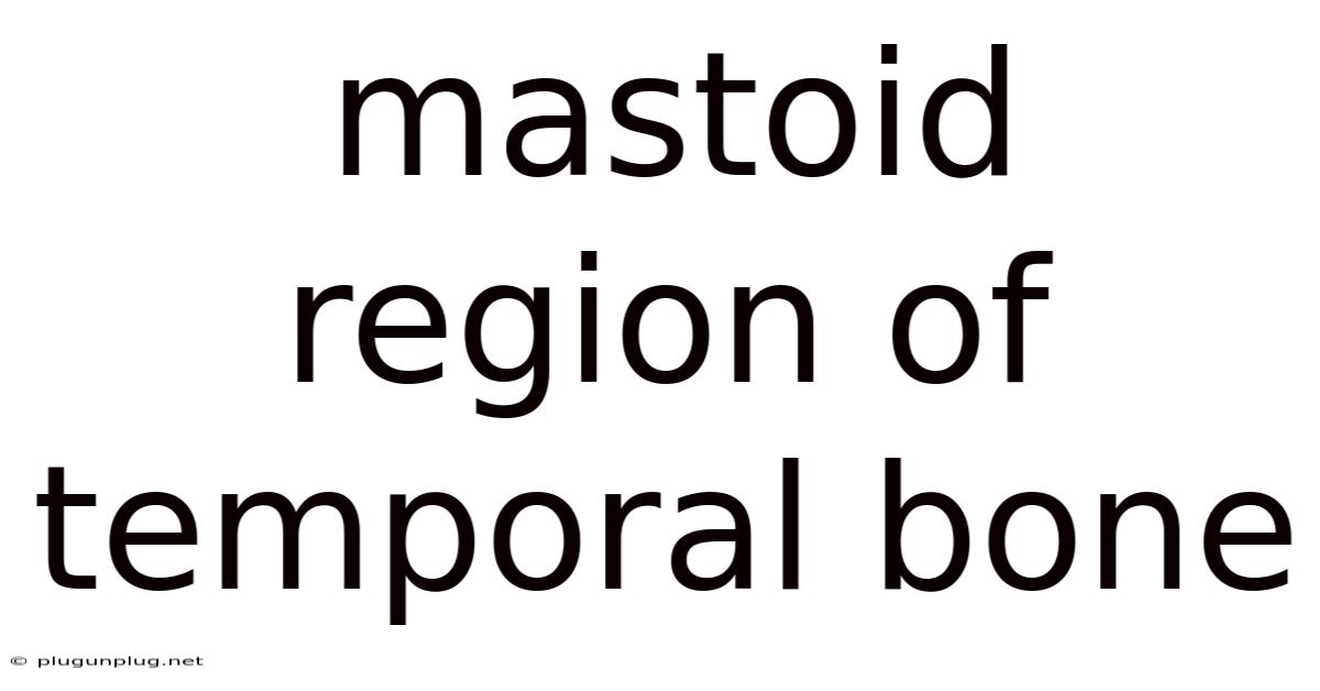 Mastoid Region Of Temporal Bone