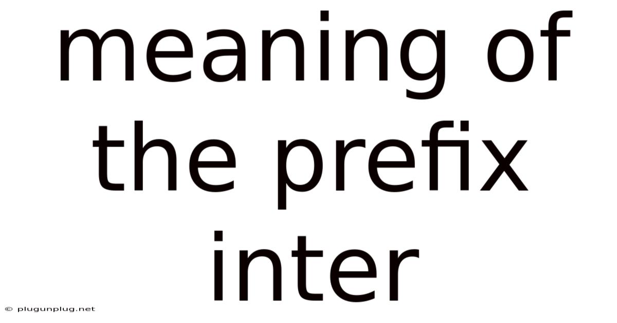 Meaning Of The Prefix Inter