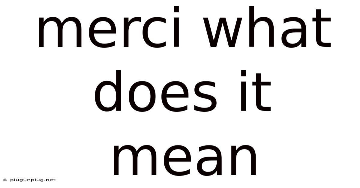 Merci What Does It Mean