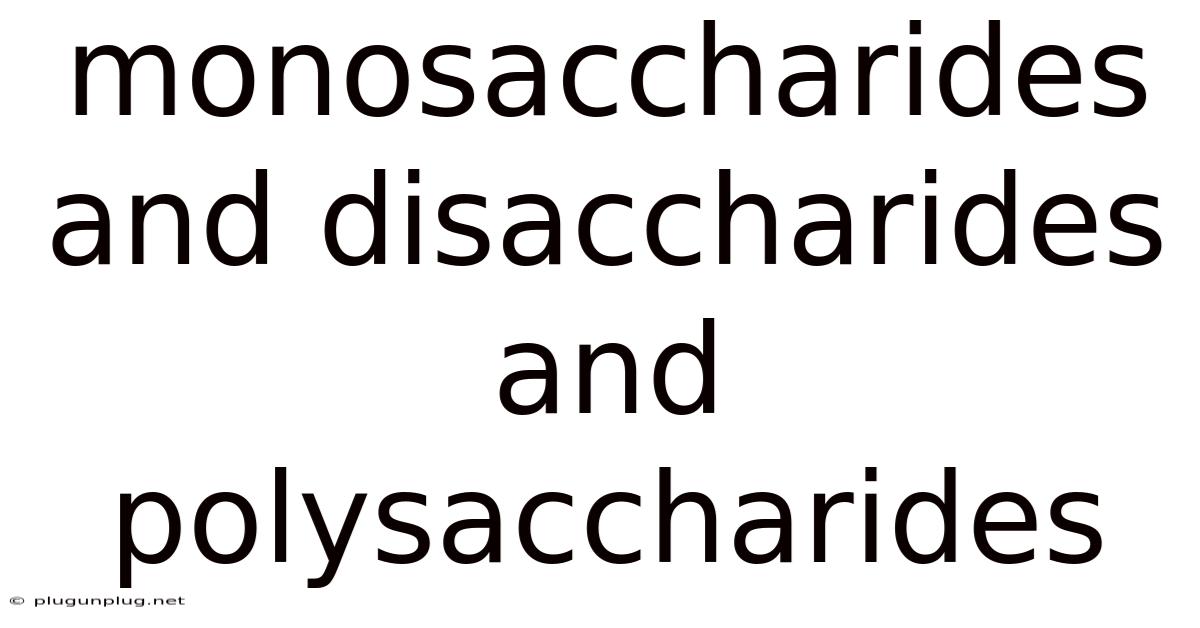 Monosaccharides And Disaccharides And Polysaccharides