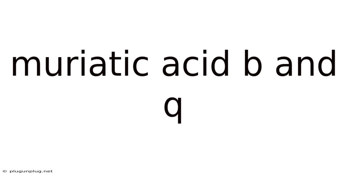 Muriatic Acid B And Q