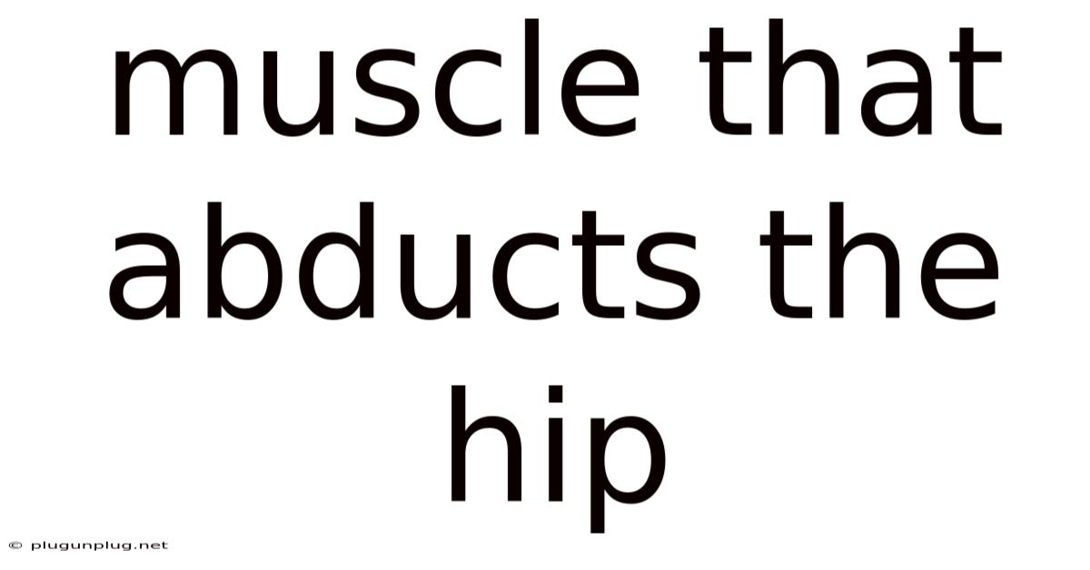 Muscle That Abducts The Hip