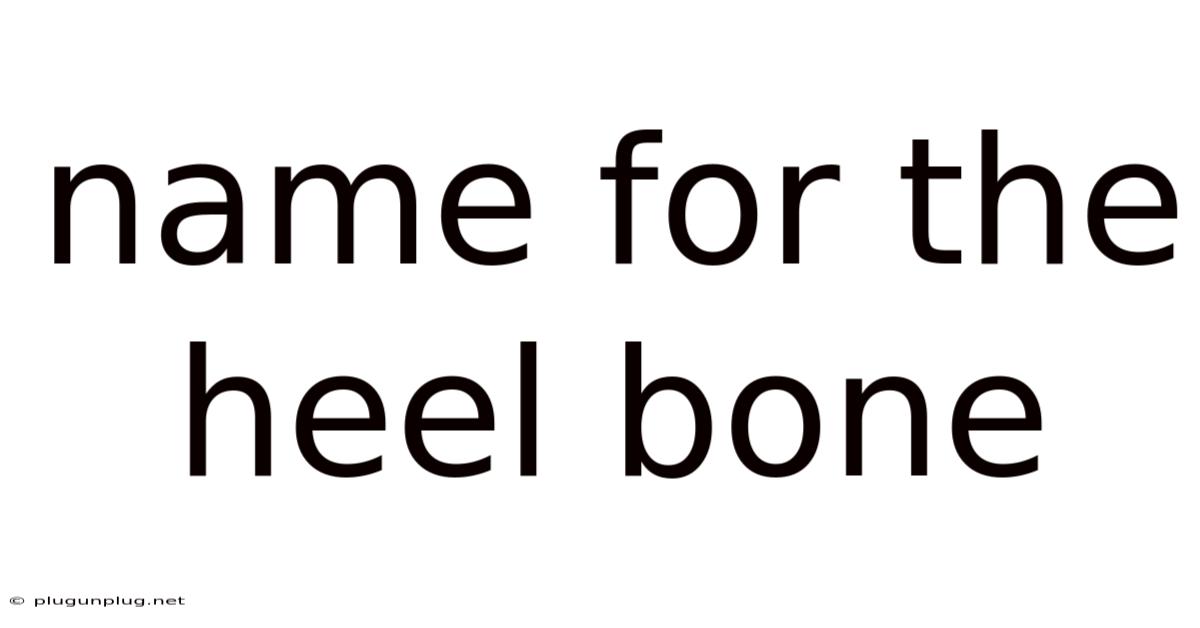 Name For The Heel Bone